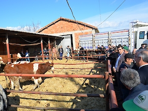 Vali Salihoğlu, Süleymanpaşa Süt Üreticileri Birliği’nin Hazırlamış Olduğu Programa Katıldı