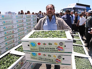 Büyükşehir'den Üreticilere Fide Desteği