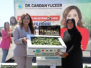 Büyükşehir'den Üreticilere Fide Desteği