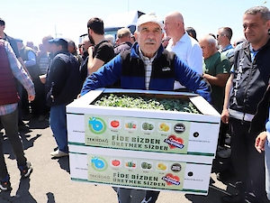 Büyükşehir'den Üreticilere Fide Desteği