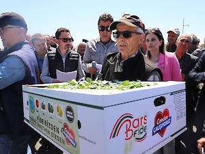 Büyükşehir'den Üreticilere Fide Desteği